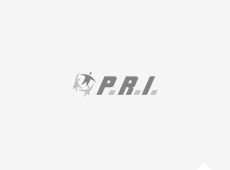 PRI – Precision Recruitment International