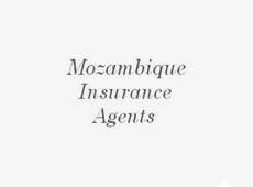 Mozambique Insurance Agents